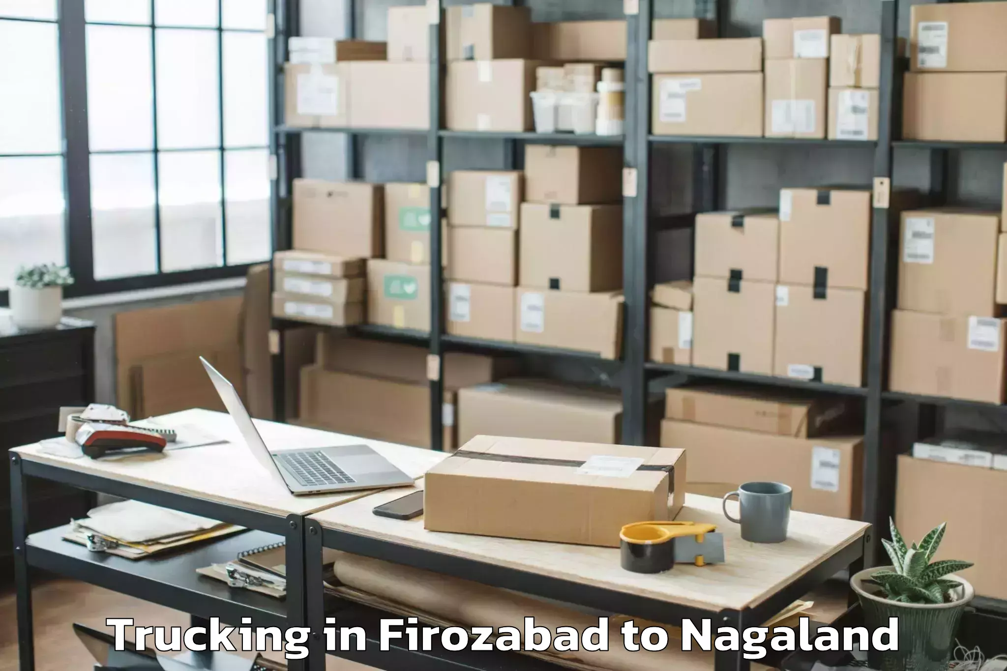 Top Firozabad to Aghunato Trucking Available